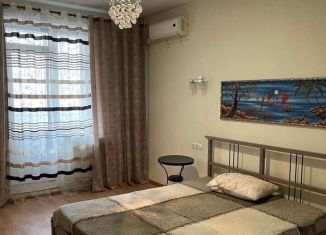 Аренда 1-комнатной квартиры, 41 м2, Санкт-Петербург, Коломяжский проспект, 15к1