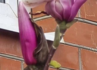 Дом на продажу, 98 м2, Ростов-на-Дону, Краснознамённый переулок, 43