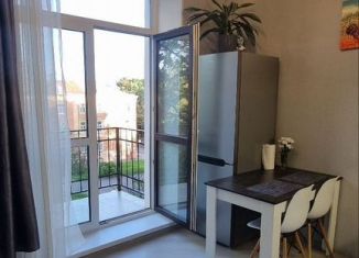 Сдам в аренду квартиру студию, 25 м2, Кронштадт, улица Аммермана, 46