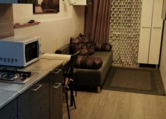 Сдаю в аренду квартиру студию, 25 м2, Санкт-Петербург, Гончарная улица, 16