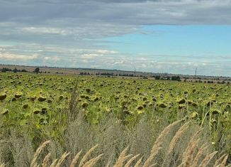 Участок на продажу, 10 сот., Татарстан