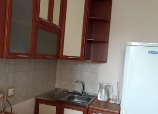 Сдается 2-ком. квартира, 55 м2, Новосибирск, Выборная улица, 125/1, Октябрьский район