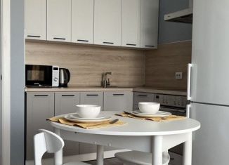 Сдается однокомнатная квартира, 35 м2, Санкт-Петербург, улица Маршала Казакова, 21к2, метро Юго-Западная