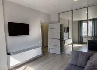 Сдам однокомнатную квартиру, 40 м2, Крым, улица Крымской Весны, 5к4