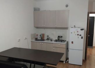 Сдается в аренду квартира студия, 25 м2, Колпино, улица Севастьянова, 28к1