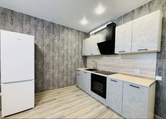 Сдам в аренду квартиру студию, 23 м2, Татарстан, улица Ярышлар, 4