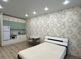 Сдам квартиру студию, 30 м2, Пенза, улица Стасова, 2А