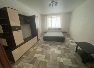 Сдам однокомнатную квартиру, 40 м2, Пенза, Онежская улица, 21