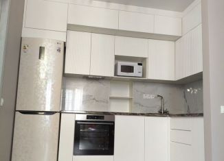 Сдаю 2-ком. квартиру, 46 м2, Ростов-на-Дону, Нижегородская улица, 31/3