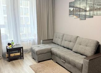 Сдаю в аренду однокомнатную квартиру, 43 м2, Татарстан, Спортивная улица, 3