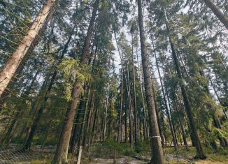 Продаю участок, 16.1 сот., Санкт-Петербург, улица Танкистов, 12К