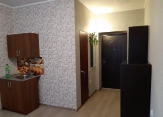 Продается квартира студия, 18.8 м2, посёлок Российский, Измаильская улица, 10