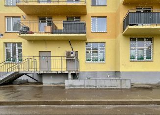 Продаю помещение свободного назначения, 140.9 м2, Санкт-Петербург, территория Ленсоветовский, 23