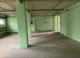 Сдаю в аренду склад, 120 м2, Пензенская область, улица Измайлова, 32к3