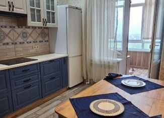 1-ком. квартира в аренду, 45 м2, Брянск, 1-й проезд Станке Димитрова, 14А