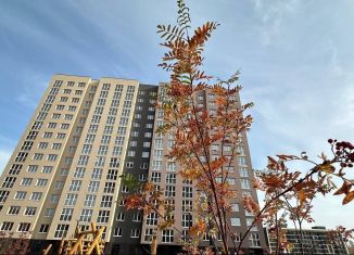 Продаю 2-ком. квартиру, 60.2 м2, деревня Дударева, улица Сергея Джанбровского, 2