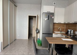 Сдается в аренду квартира студия, 30 м2, Республика Башкортостан, проспект Дружбы Народов, 57