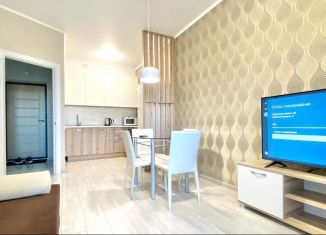 Сдам в аренду 2-ком. квартиру, 50 м2, Татарстан, улица Разведчика Ахмерова, 9