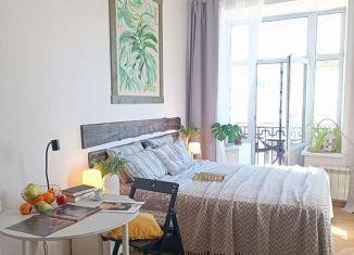 Сдаю в аренду квартиру студию, 30 м2, Санкт-Петербург, Тележная улица