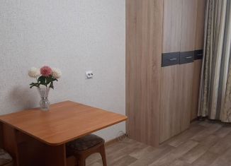 Продаю квартиру студию, 20 м2, Санкт-Петербург, Наличная улица, 44к2