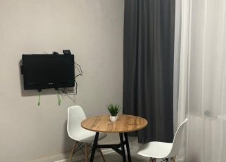 Сдаю квартиру студию, 24 м2, Татарстан, Отрадная улица, 8