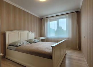 Аренда двухкомнатной квартиры, 46 м2, Татарстан, улица Гагарина, 16