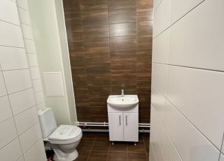 Продаю квартиру студию, 27.2 м2, Санкт-Петербург, ЖК Солнечный Город, проспект Будённого, 23к5