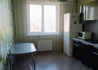 Сдам в аренду однокомнатную квартиру, 42 м2, Воронеж, Средне-Московская улица, 62А