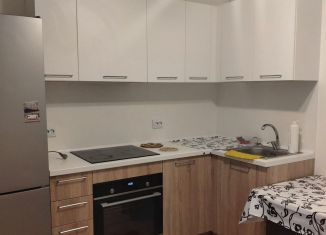 Сдача в аренду 1-комнатной квартиры, 30 м2, Колпино, Балканская дорога, 10к2