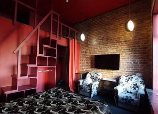 Аренда квартиры студии, 25 м2, Санкт-Петербург, улица Марата, 26/11