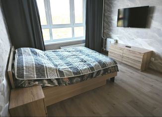 Сдаю 1-ком. квартиру, 49 м2, Великий Новгород, Большая Московская улица, 136