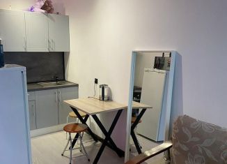 Сдам в аренду 1-ком. квартиру, 33 м2, Республика Башкортостан, улица Энтузиастов, 15