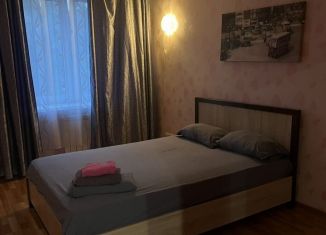 2-ком. квартира в аренду, 56 м2, Омск, улица Ватутина, 22А