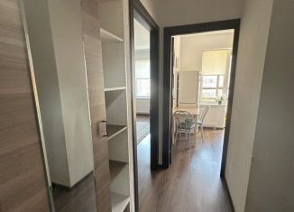 Аренда однокомнатной квартиры, 36 м2, Санкт-Петербург, проспект Ветеранов, 171к4, метро Юго-Западная