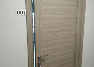 Офис в аренду, 22.5 м2, Пензенская область, улица Яшиной, 12