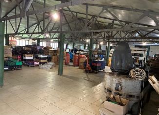 Сдам производство, 400 м2, Калужская область, деревня Стрелковка, 30