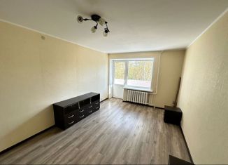 Продажа однокомнатной квартиры, 30 м2, Великие Луки, Дворецкая улица, 13к2