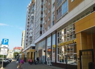 Продаю 1-комнатную квартиру, 42.6 м2, Воронеж, улица Революции 1905 года, 31Ю