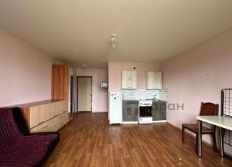 Продаю квартиру студию, 25.6 м2, Челябинская область, Просторная улица, 52