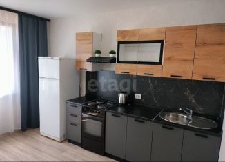 Сдаю в аренду 1-комнатную квартиру, 42 м2, Воронеж, улица Пескова, 3