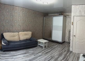 Продажа однокомнатной квартиры, 30 м2, Татарстан, улица Фёдора Шаляпина, 10