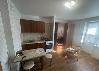 1-ком. квартира на продажу, 23.9 м2, Томская область, улица Юрия Ковалёва, 40