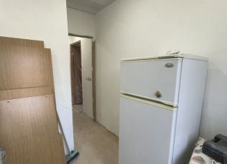 Продажа однокомнатной квартиры, 30 м2, Гусь-Хрустальный, улица Менделеева, 19Б