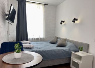 Сдаю квартиру студию, 20 м2, Санкт-Петербург, проспект Обуховской Обороны, 123А