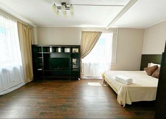 Квартира в аренду студия, 40 м2, Татарстан, улица Шаляпина, 41А