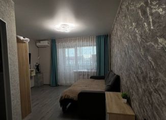 Однокомнатная квартира на продажу, 27.4 м2, Благовещенск, улица Шафира, 64