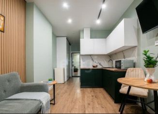 Сдаю в аренду квартиру студию, 35 м2, Татарстан, улица Профессора Камая, 10к4