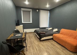 Сдаю квартиру студию, 22 м2, Санкт-Петербург, Косая линия, 24/25