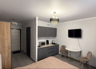 Сдается квартира студия, 28 м2, Ростов-на-Дону, улица Ткачёва, 11