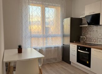 Сдам 1-ком. квартиру, 30.2 м2, деревня Столбово, проспект Куприна, 30к2